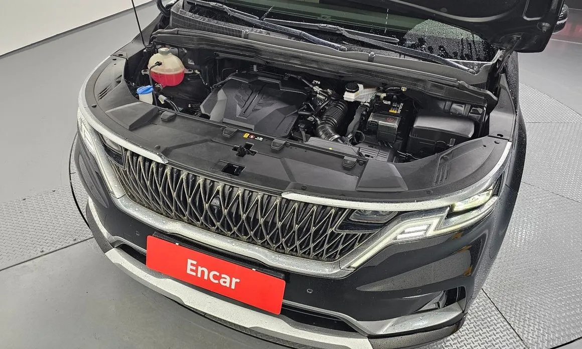 Kia Carnival — фото 10