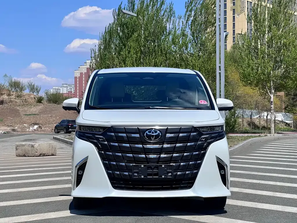 Toyota Alphard — фото 10