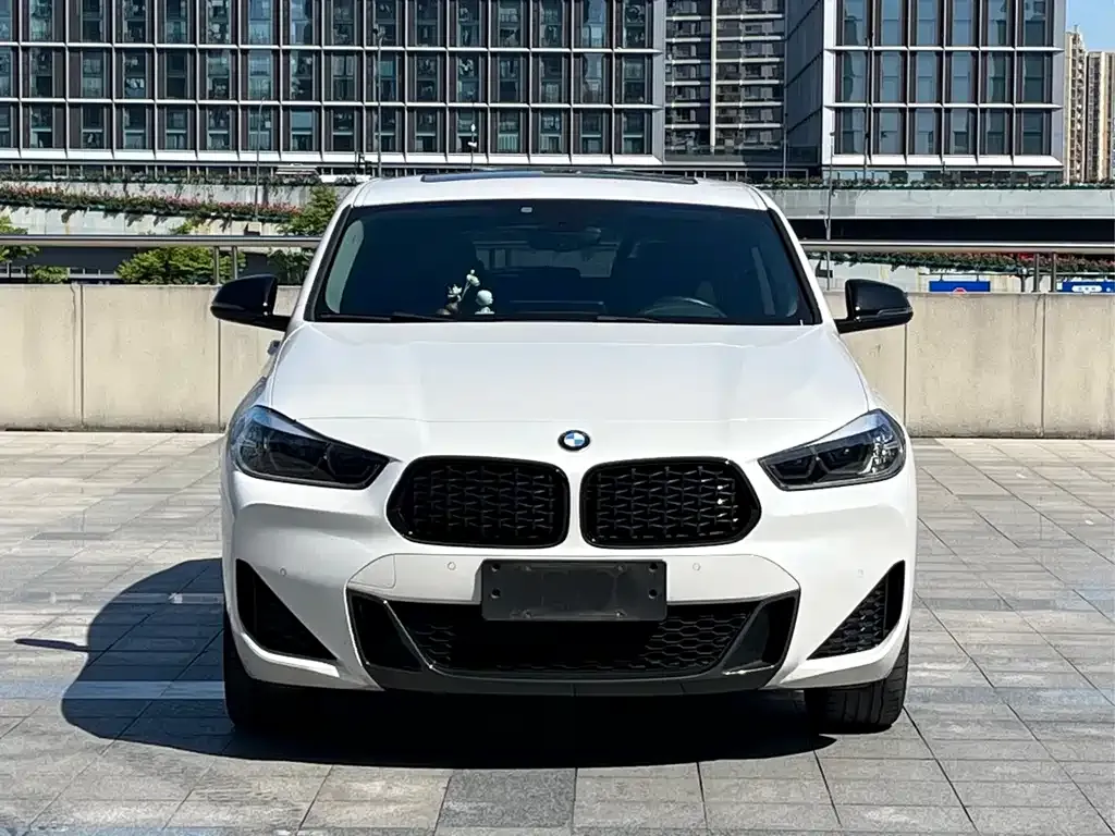 BMW X2 2023 из CN, фото 8