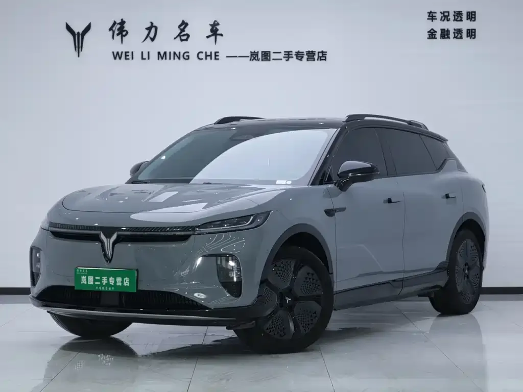 VOYAH Zhiyin