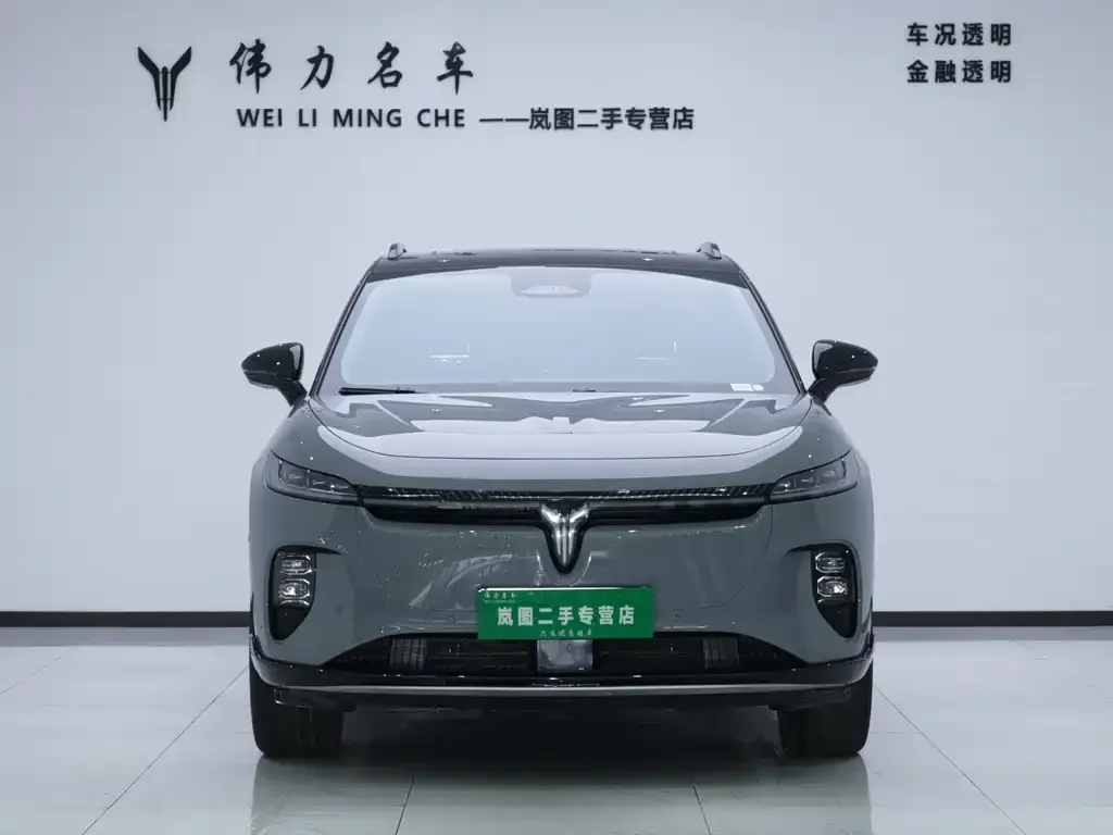 VOYAH Zhiyin 2025 из CN, фото 3