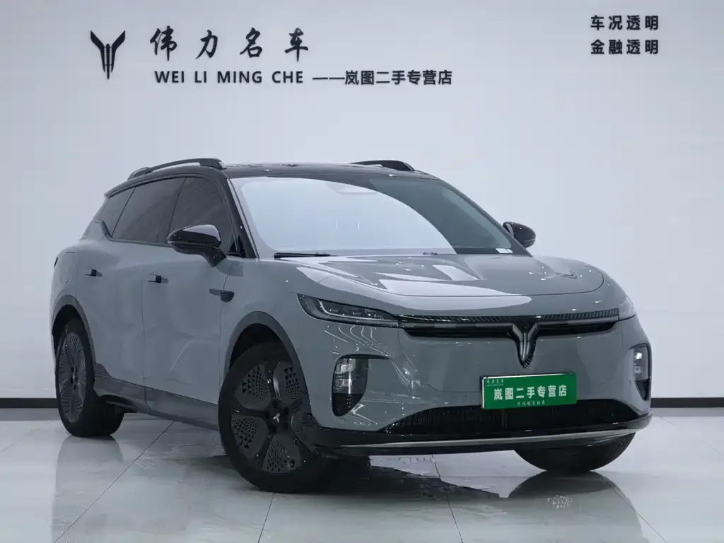 VOYAH Zhiyin 2025 из CN, фото 6