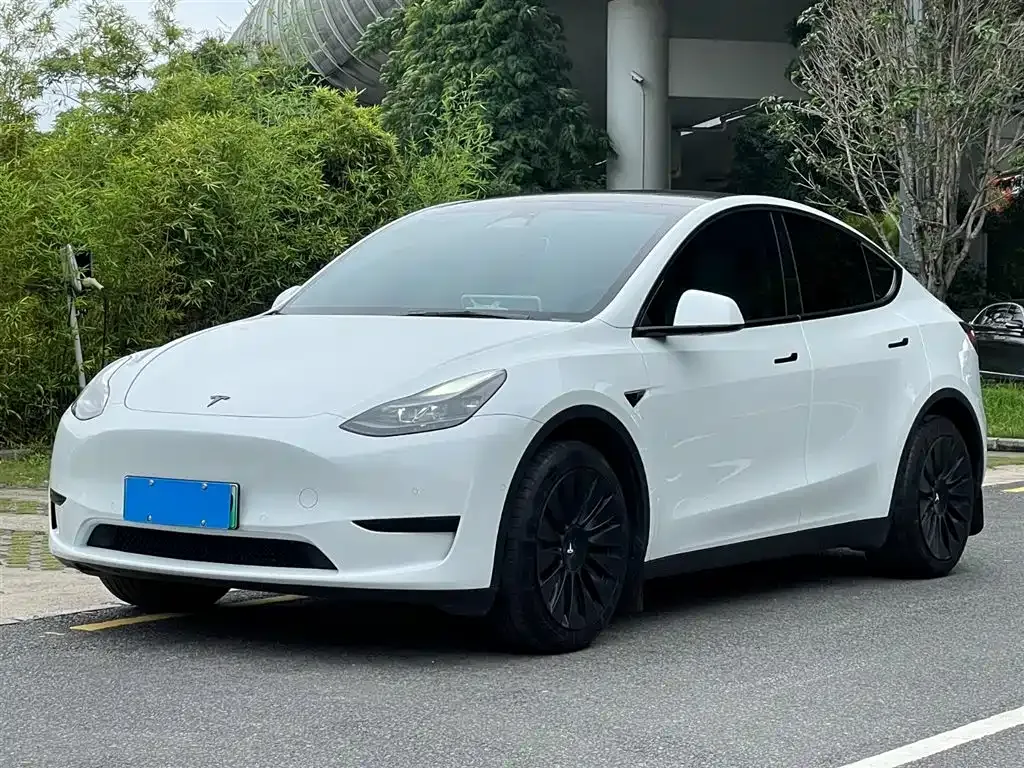 Tesla Model Y — фото 1