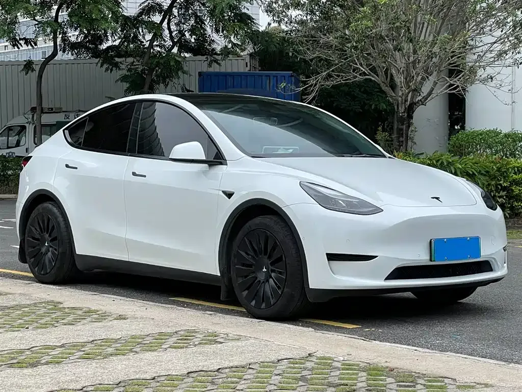 Tesla Model Y — фото 2