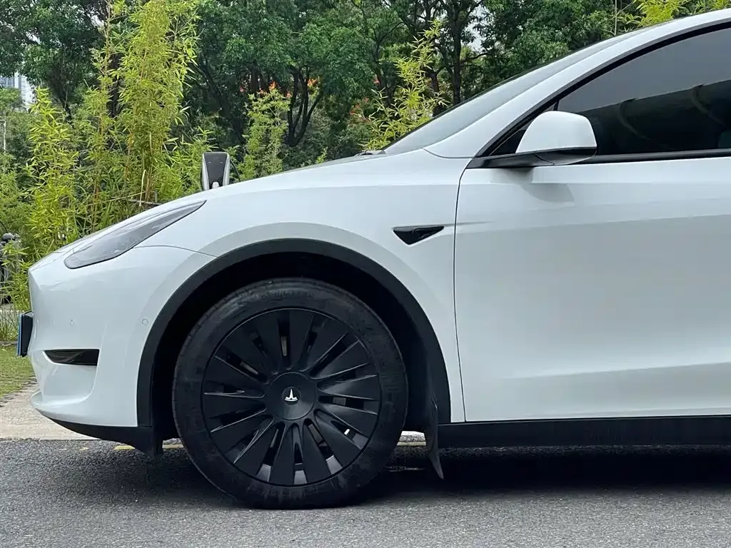 Tesla Model Y — фото 9