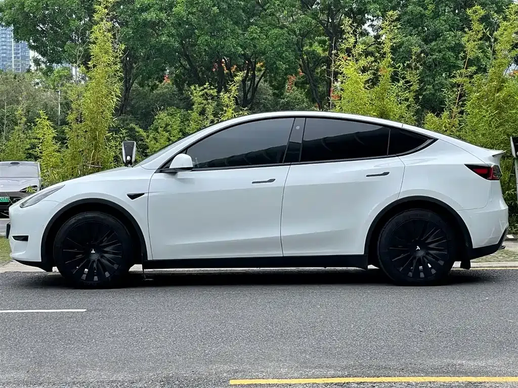 Tesla Model Y — фото 10