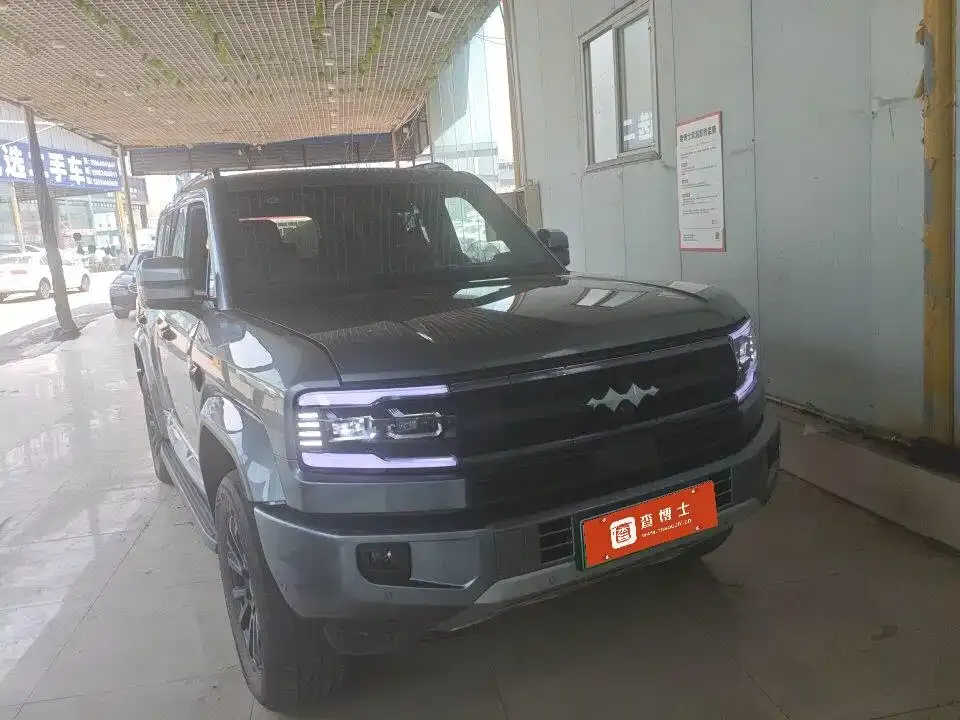 Fang Cheng Bao Leopard 5 2025 из CN, фото 9