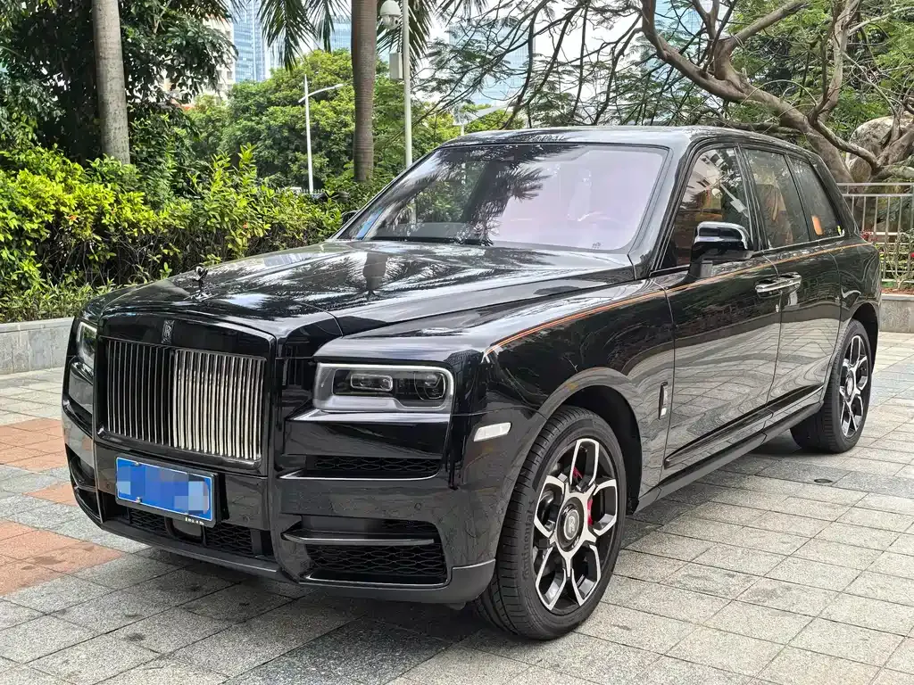Rolls-Royce Cullinan — фото 9