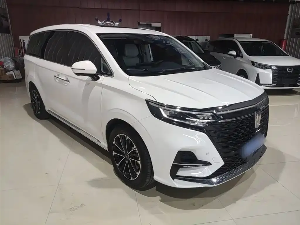 Roewe iMAX8 2022 из CN, фото 6