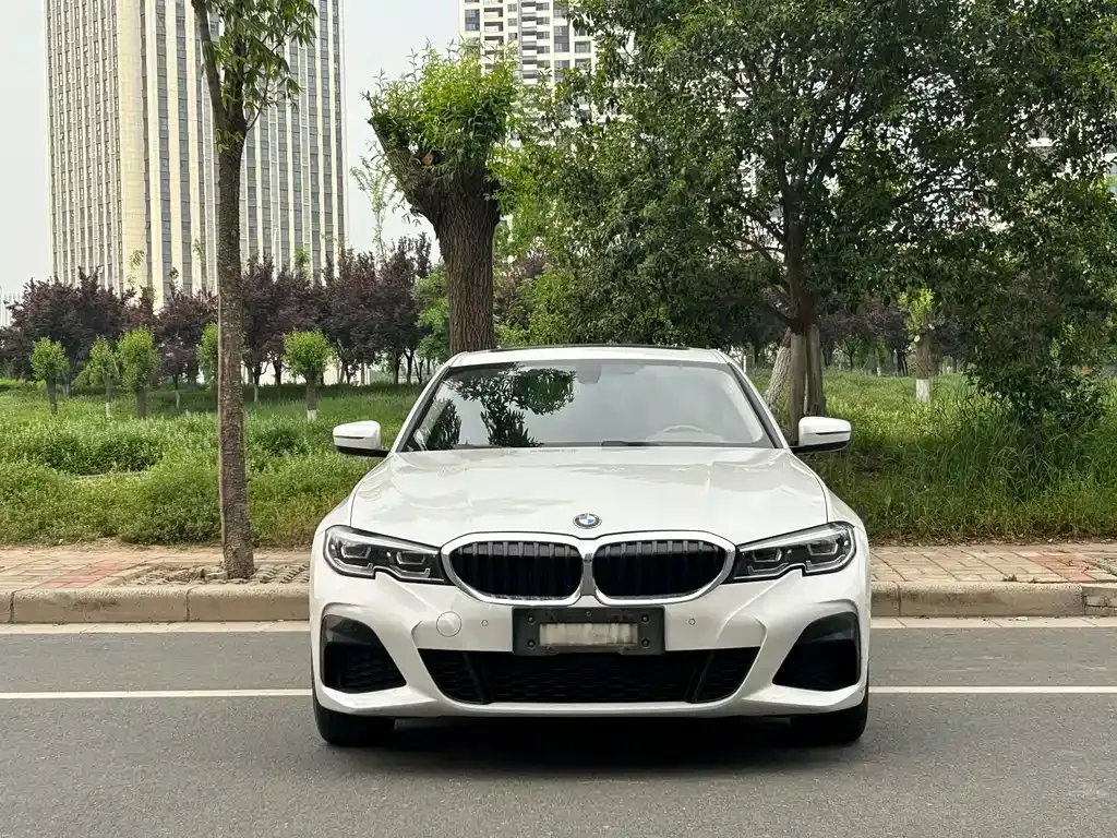 BMW 3 Series 2021 из CN, фото 8