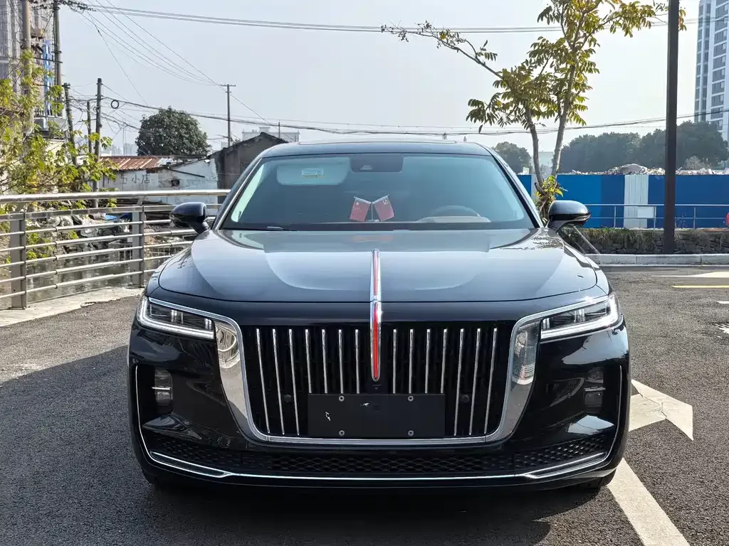 Hongqi H9 2022 из CN, фото 4