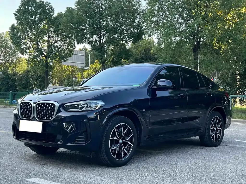 BMW X4 — фото 1