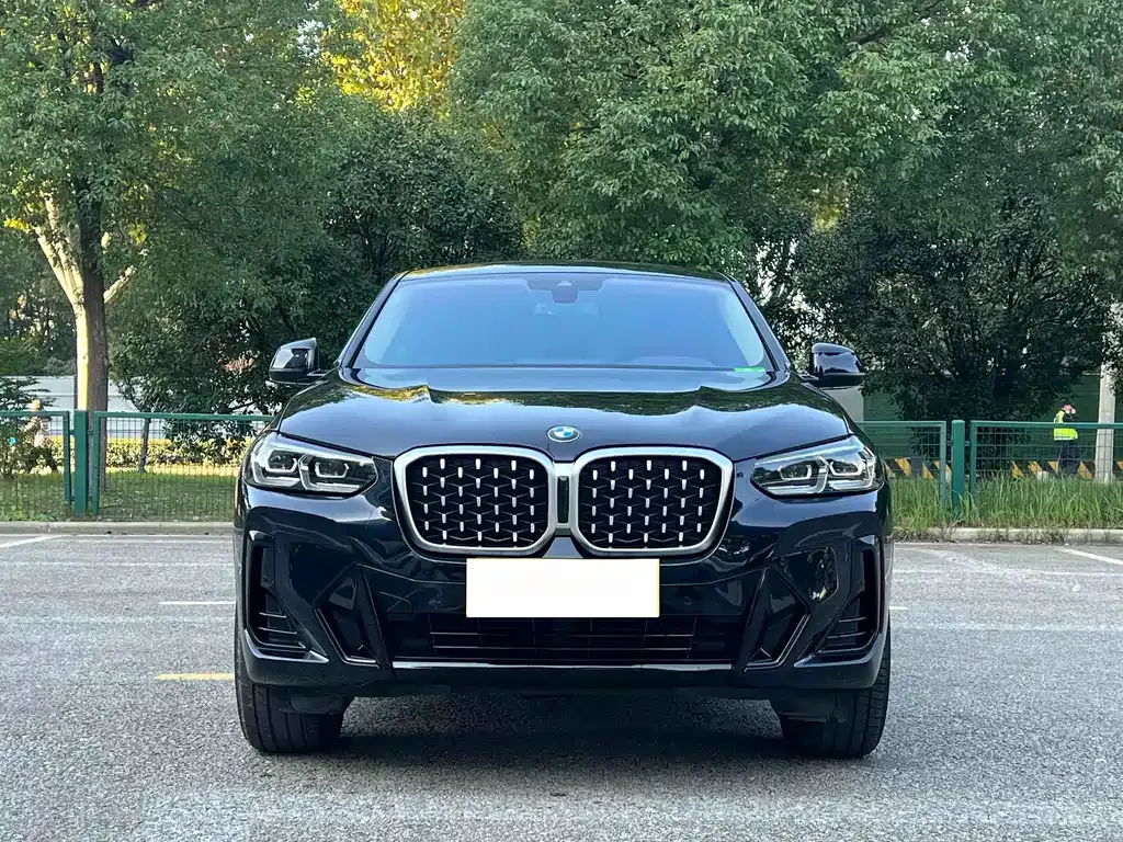 BMW X4 — фото 6