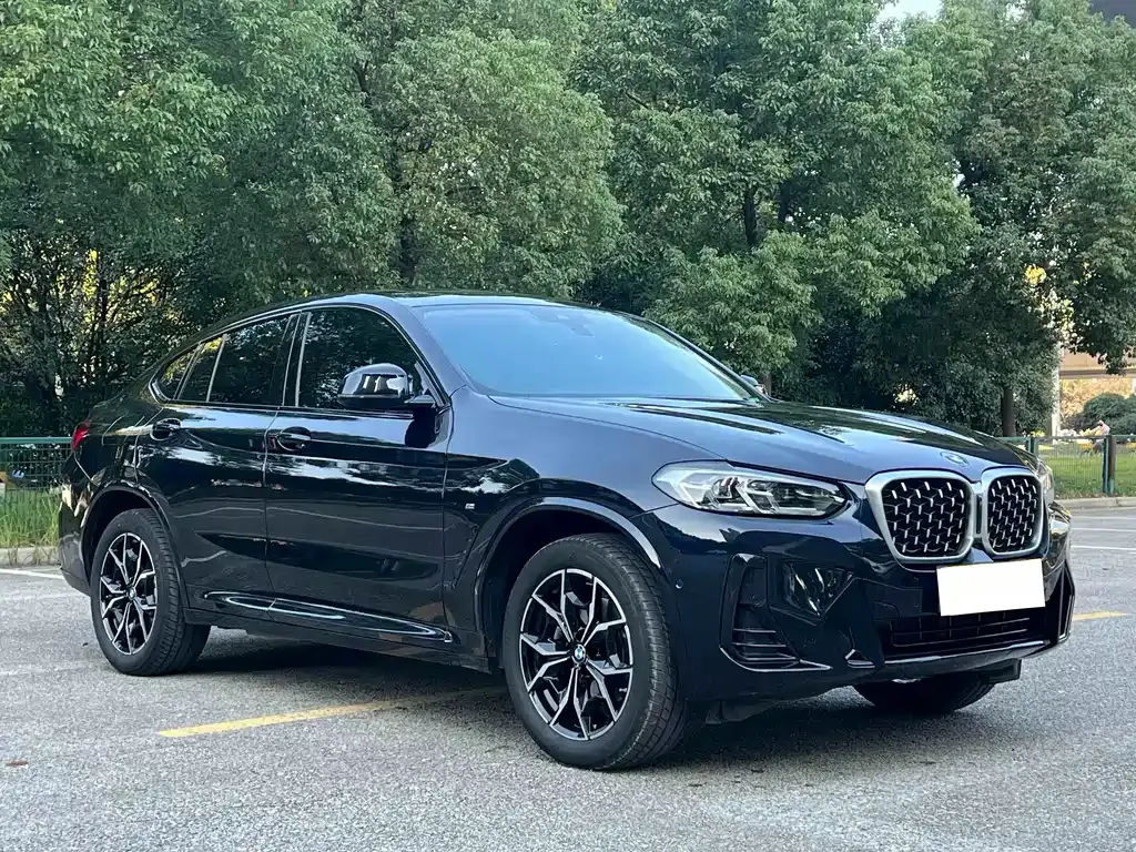BMW X4 — фото 9