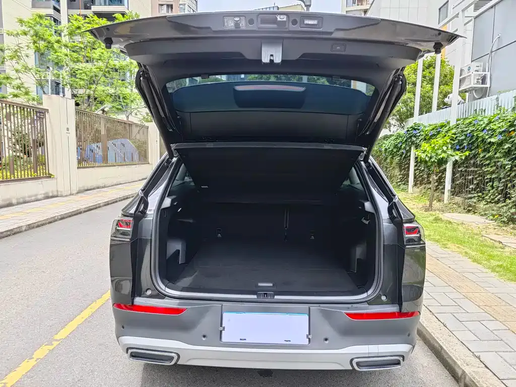 Volkswagen Tavendor 2024 из CN, фото 3
