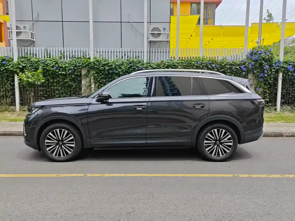 Volkswagen Tavendor 2024 из CN, фото 5