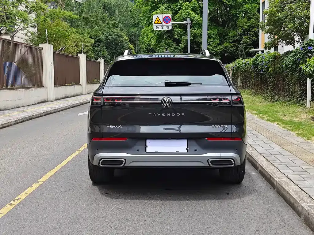 Volkswagen Tavendor 2024 из CN, фото 9