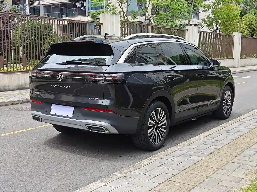 Volkswagen Tavendor 2024 из CN, фото 8