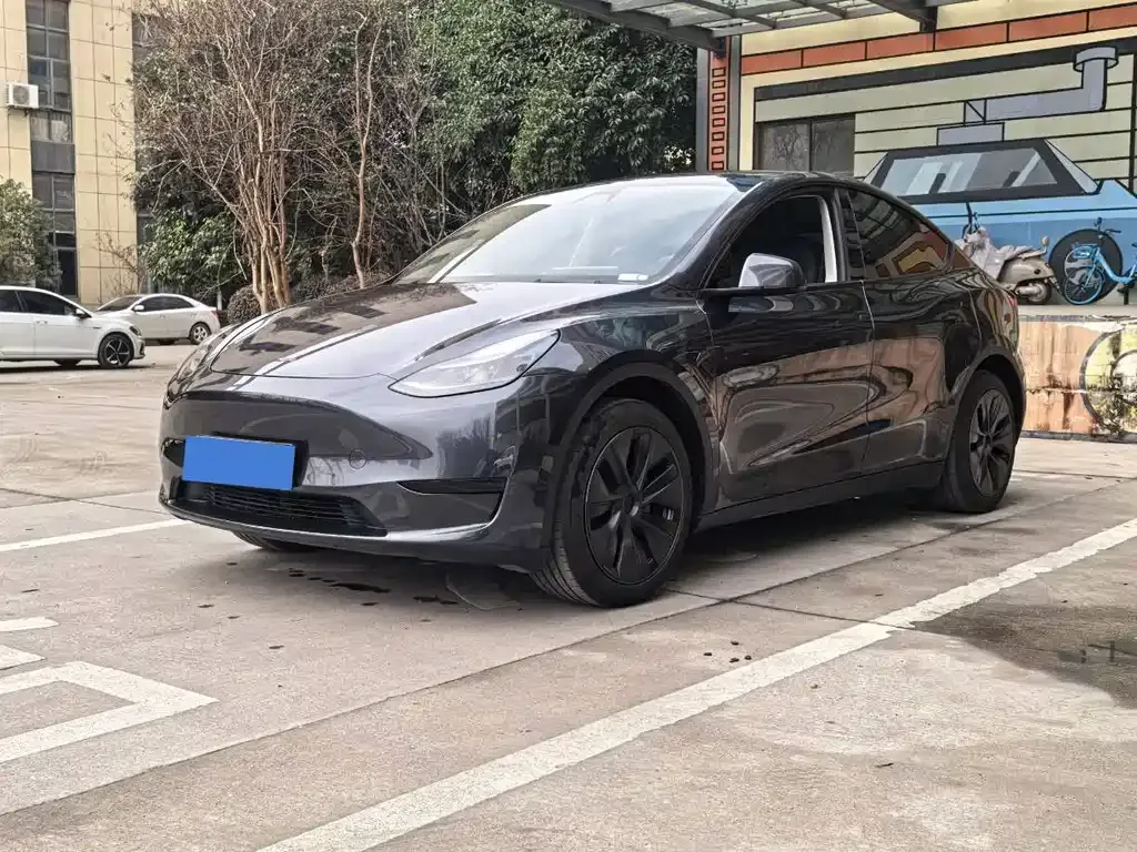 Tesla Model Y — фото 1