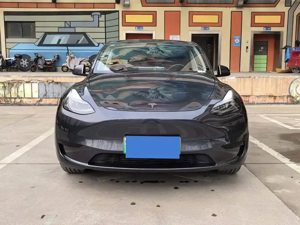 Tesla Model Y — фото 5