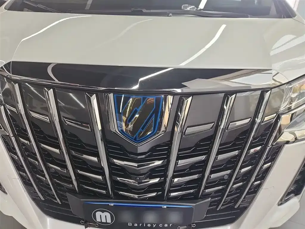 Toyota Alphard — фото 8