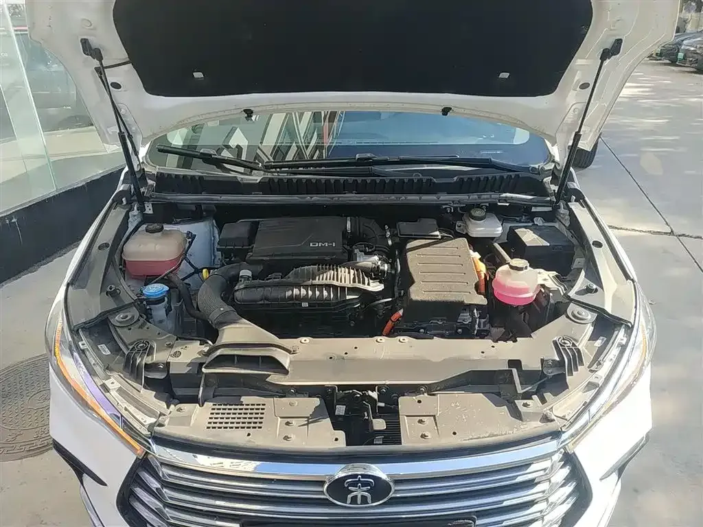 BYD MAX New Energy 2023 из CN, фото 9