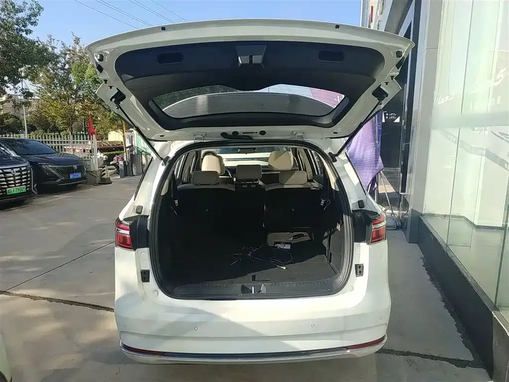 BYD MAX New Energy 2023 из CN, фото 7
