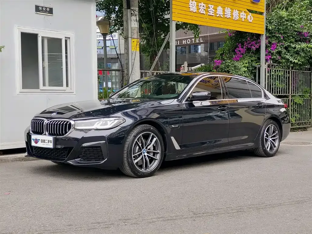 BMW 5 Series New Energy