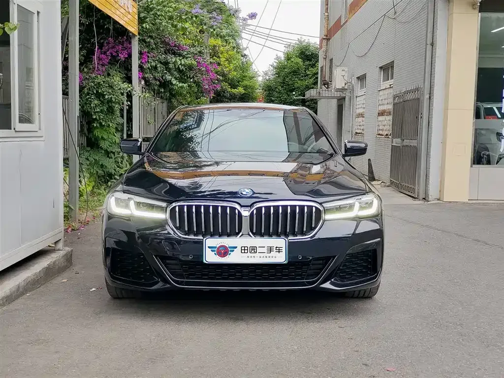 BMW 5 Series New Energy 2021 из CN, фото 8