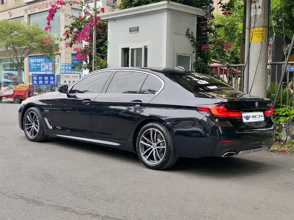 BMW 5 Series New Energy 2021 из CN, фото 9