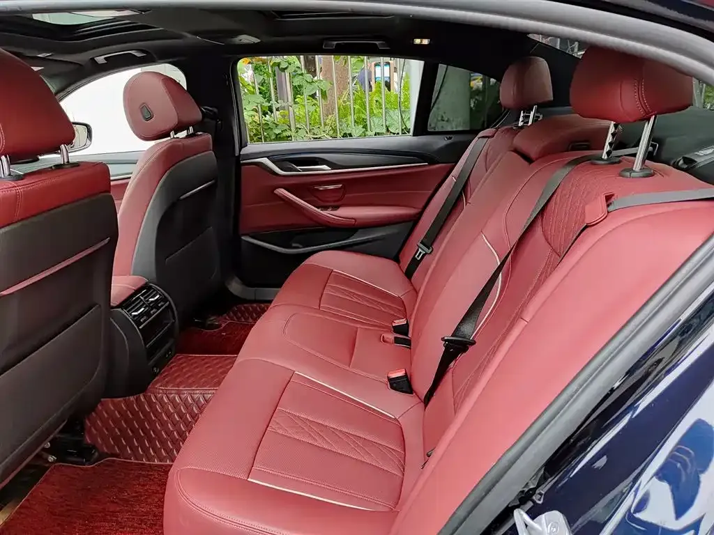 BMW 5 Series New Energy 2021 из CN, фото 2