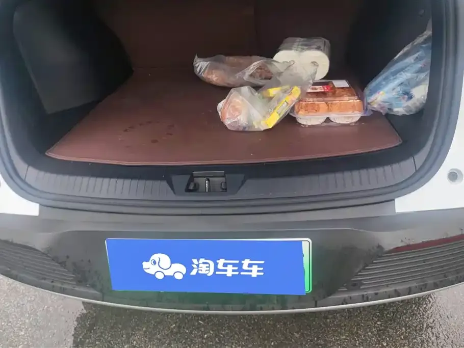 BYD Pro New Energy — фото 6
