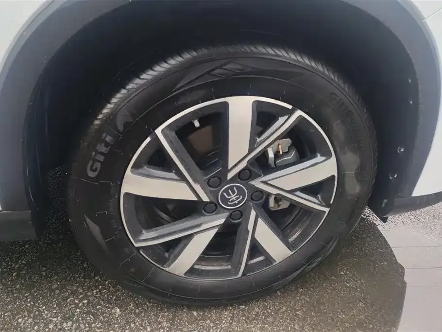 BYD Pro New Energy — фото 8