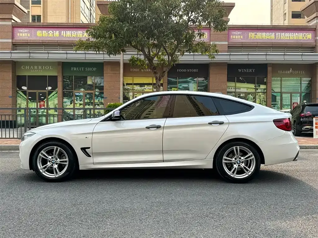 BMW 3 Series GT 2021 из CN, фото 4