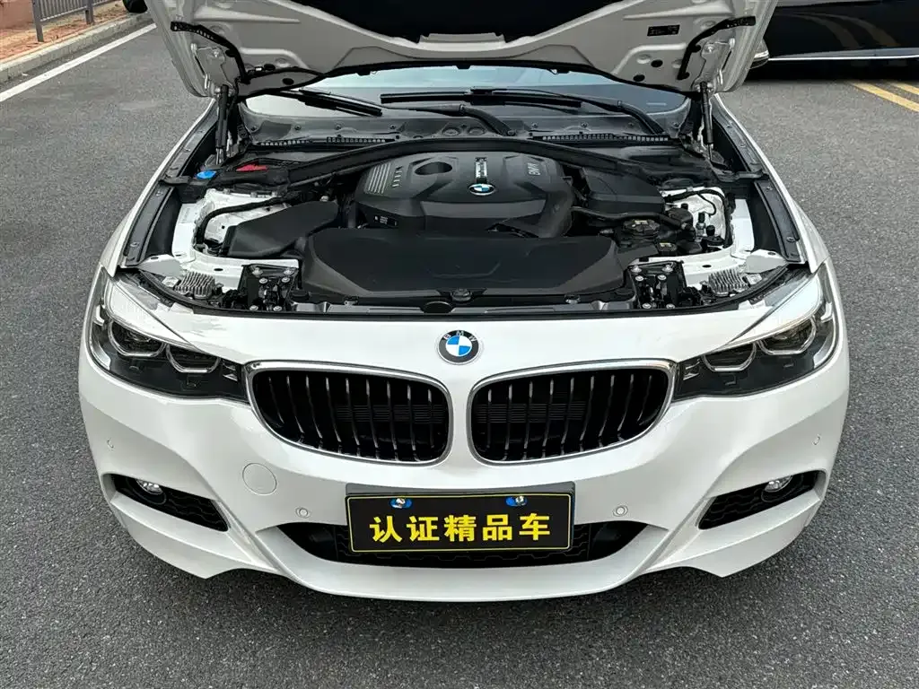 BMW 3 Series GT 2021 из CN, фото 3