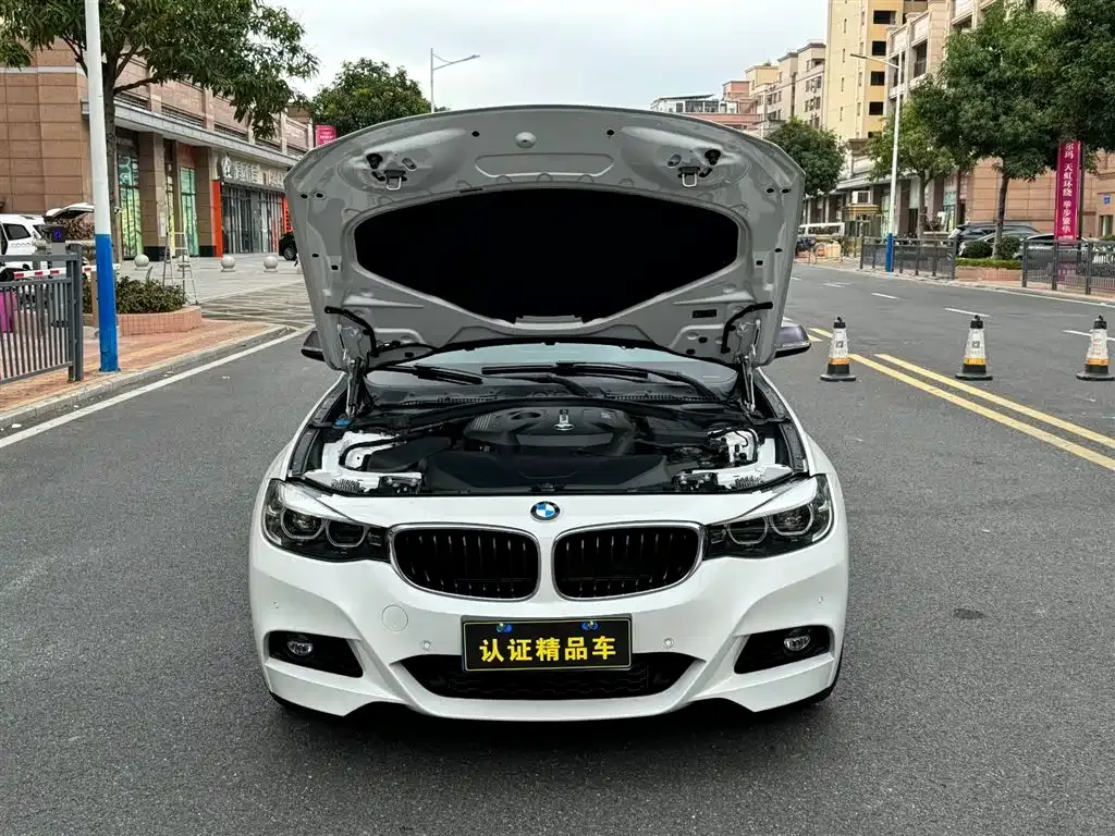BMW 3 Series GT 2021 из CN, фото 8