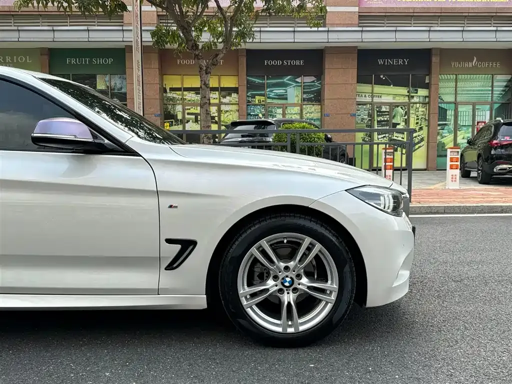 BMW 3 Series GT 2021 из CN, фото 2