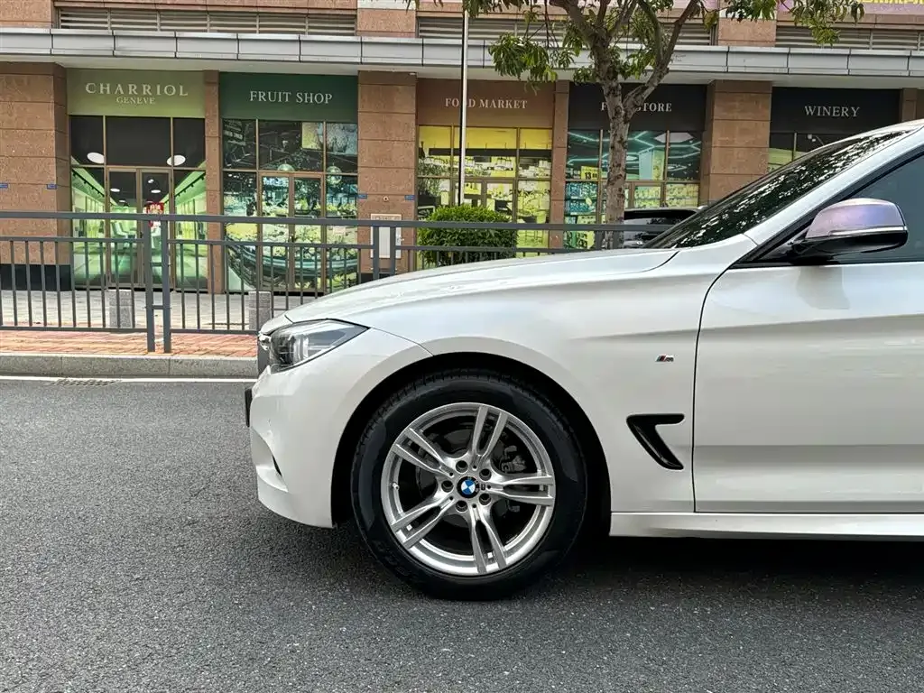 BMW 3 Series GT 2021 из CN, фото 9
