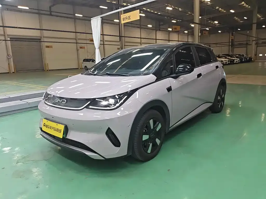 BYD Dolphin 2025 из CN, фото 1