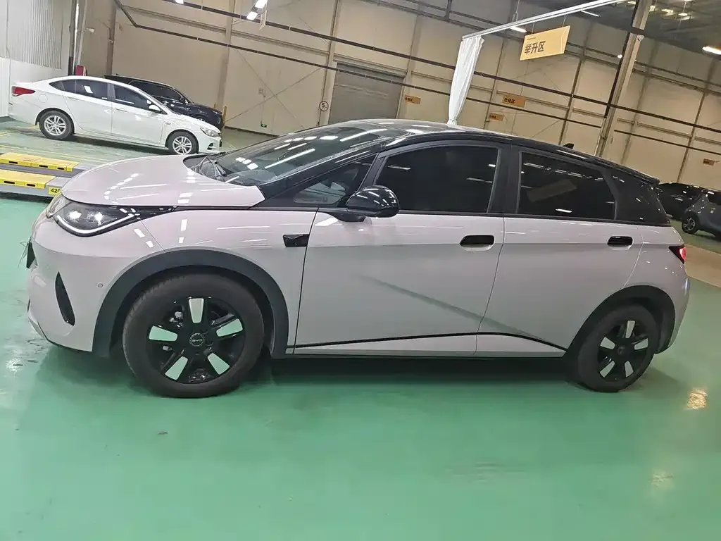 BYD Dolphin 2025 из CN, фото 6