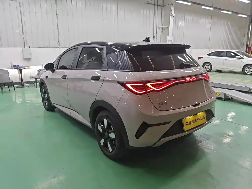 BYD Dolphin 2025 из CN, фото 7