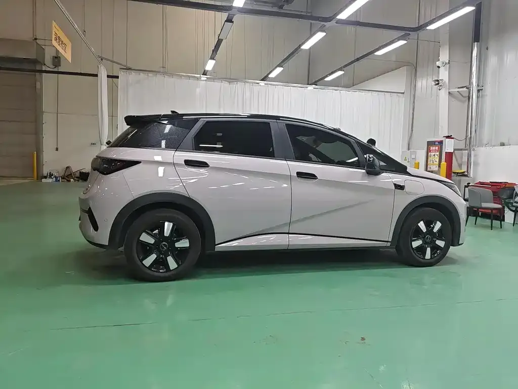 BYD Dolphin 2025 из CN, фото 9