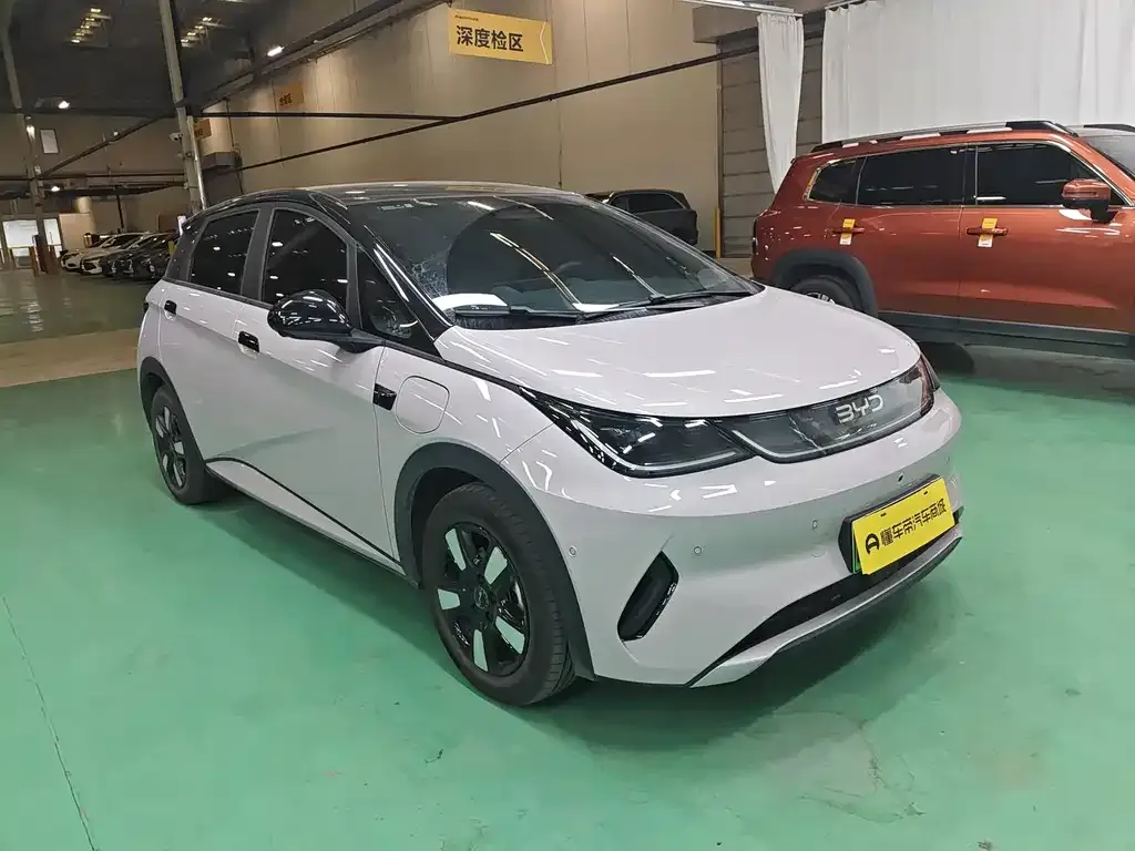 BYD Dolphin 2025 из CN, фото 5