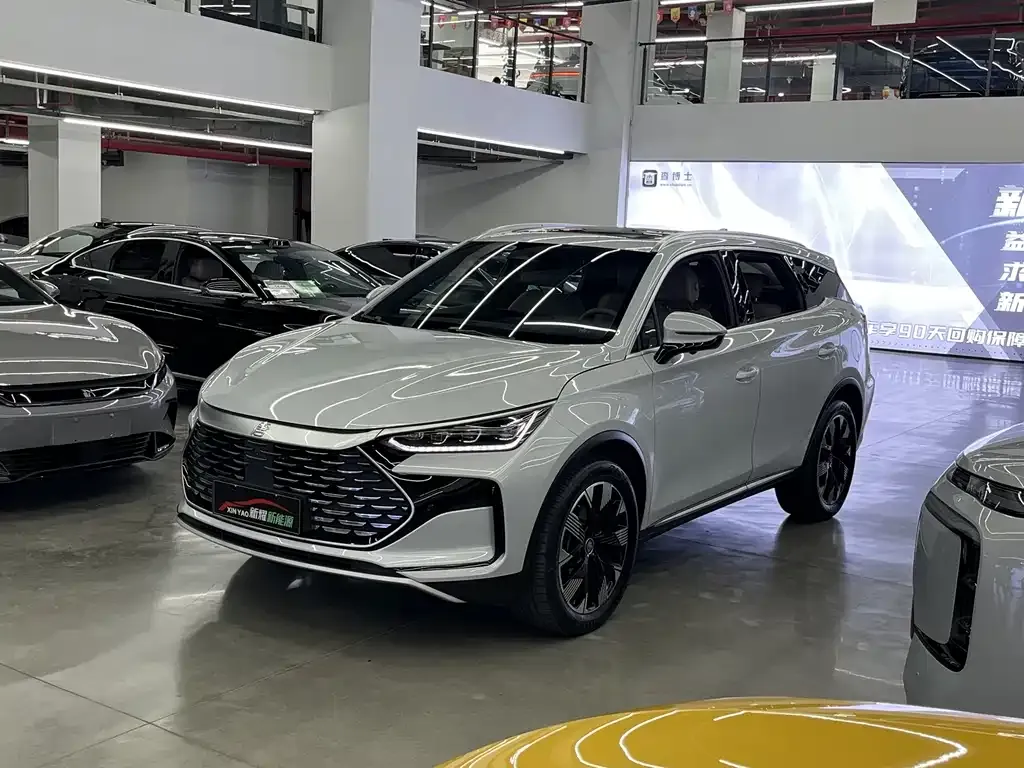 BYD Tang New Energy 2024 из CN, фото 1