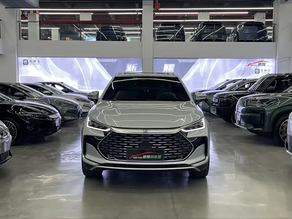 BYD Tang New Energy 2024 из CN, фото 4