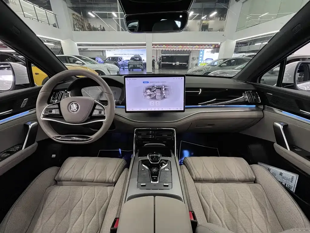 BYD Tang New Energy 2024 из CN, фото 7