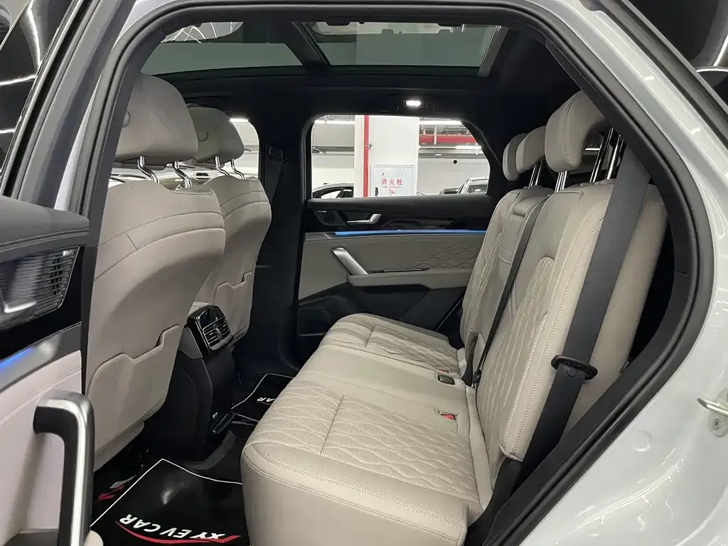 BYD Tang New Energy 2024 из CN, фото 5