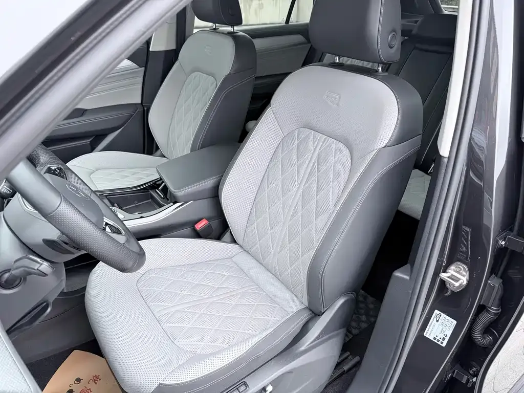 Volkswagen Tavendor 2023 из CN, фото 4