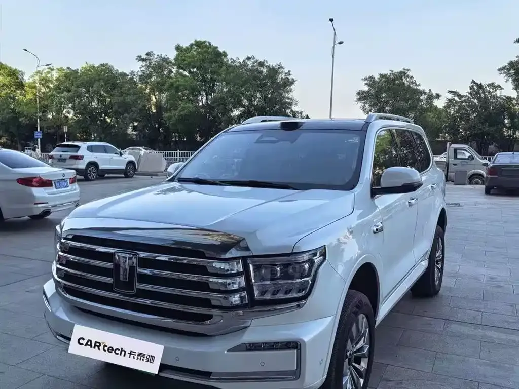 Tank 500 New Energy — фото 1