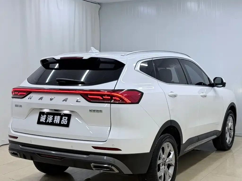 Haval H6 — фото 8